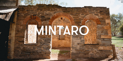 Mintaro Township