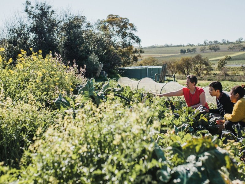 tours to clare valley from adelaide