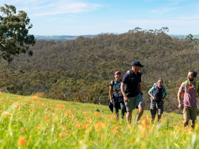 tours to clare valley from adelaide