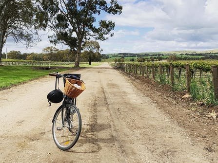 clare valley cycling tours