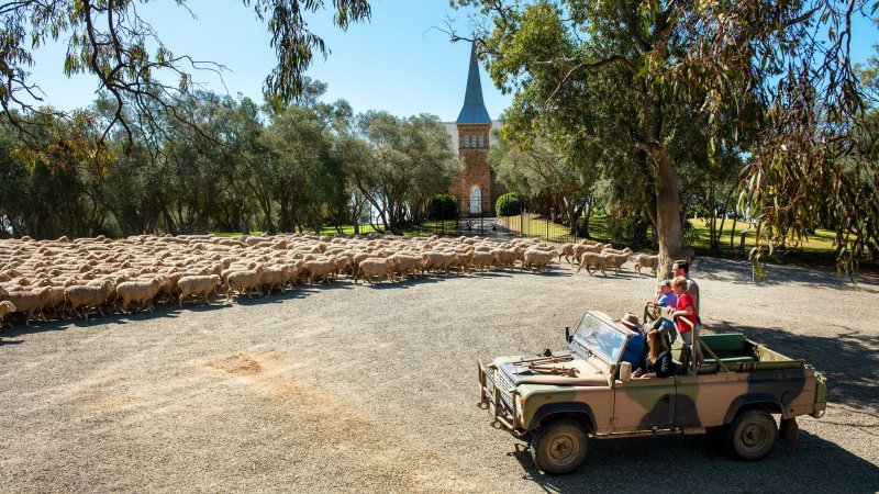 tours to clare valley from adelaide