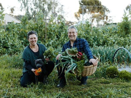 tours to clare valley from adelaide